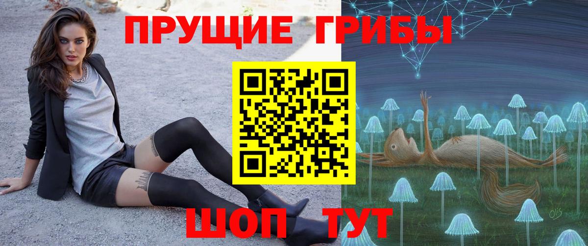 где продают   Вход с VPN  Щёкино  Псилоцибиновые грибы MAGIC MUSHROOMS 
